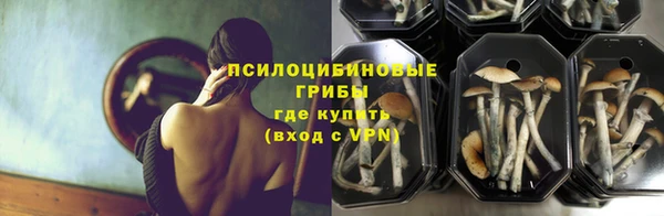 apvp Михайловка