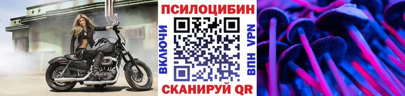 Купить где  Добрянка  Галлюциногенные грибы Psilocybine cubensis 